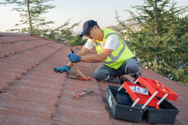 Roof Gutter Cleaning in Scotts Valley, CA
