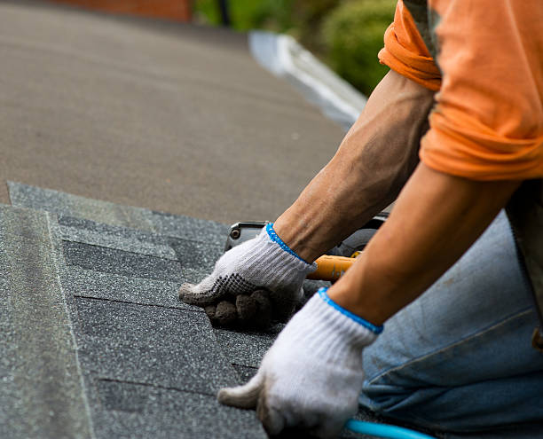 Best Roof Gutter Cleaning  in Scotts Valley, CA